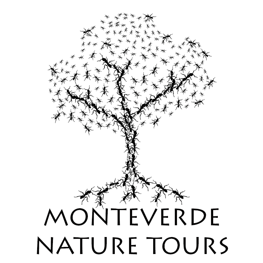 Monteverde Nature Tours